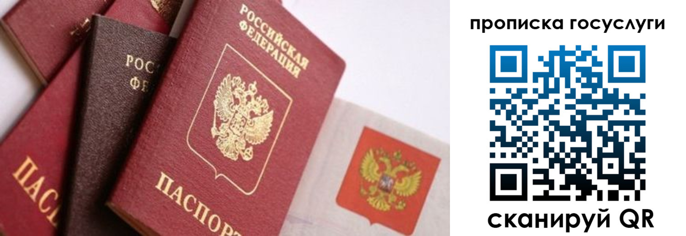 прописка законно в Чаплыгине